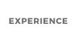 EXPERIENCE